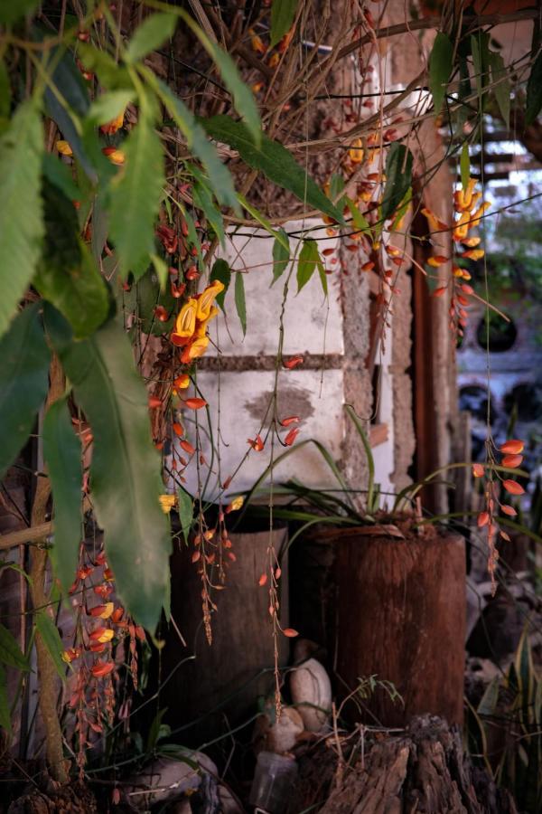 Y.O Inn Kon Tum ภายนอก รูปภาพ