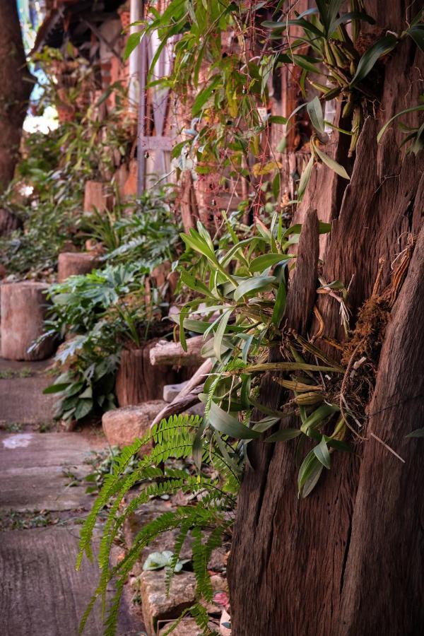 Y.O Inn Kon Tum ภายนอก รูปภาพ